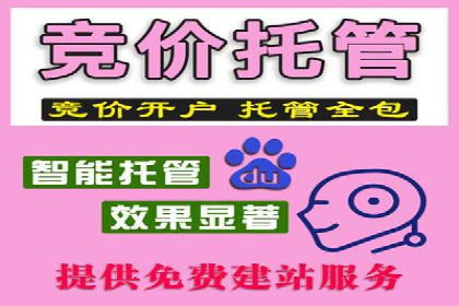 某电商平台的成功案例：信息流优化师的策略与成果