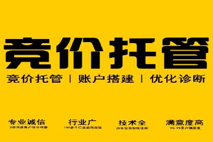 深入解析SEM账户竞价运营成功案例